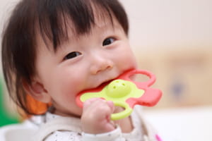 赤ちゃんの歯固めはいつからいつまで使う おしゃぶりとの違いや安全な使い方 トモママ トモママ