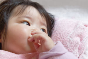 羊毛フェルトで子供のおもちゃを手作り 初心でも簡単に作れるのは トモママ トモママ