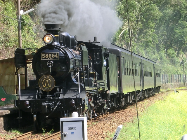 期間限定 みんな大好き 大井川鐵道で機関車トーマスに乗ろう の画像 トモママ 期間限定 みんな大好き 大井川鐵道で機関車トーマスに乗ろう の画像 トモママ