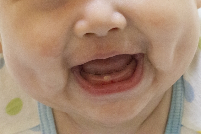 赤ちゃんから始める歯みがき習慣 お口ケアで健康な歯を育てよう トモママ トモママ